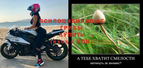 экстази Абаза