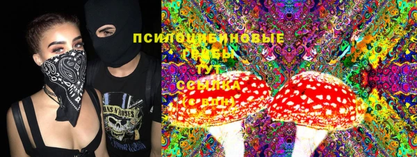 дурь Абинск